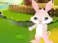 Игра Find The Buddy Rabbit онлайн