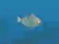 Игра Fish Companions онлайн