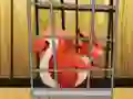 Игра Rescue The Red Squirrel From Cage онлайн