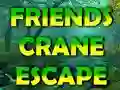 Игра Friends Crane Escape онлайн