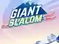 Игра Giant Slalom онлайн