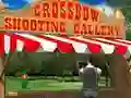 Игра Crossbow Shooting Gallery онлайн