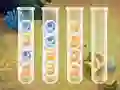 Игра Sort Bubbles онлайн