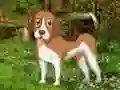 Игра Flower Garden Dog Escape онлайн