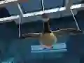 Игра Goose Museum онлайн