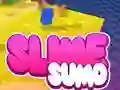 Игра Sumo Slime 3D онлайн