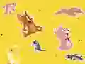 Игра The Tom and Jerry Show Find it! онлайн