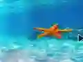 Игра Escape From Underwater Starfish онлайн