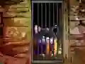 Игра Hidden Cat Escape онлайн