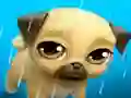 Игра My Virtual Pet Louie the Pug онлайн