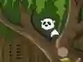Игра Panda Jungle Escape онлайн