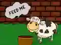 Игра Find The Cow Feed онлайн