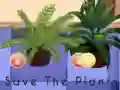 Игра Save the Plants онлайн