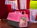 Игра Escape The Small Pug онлайн