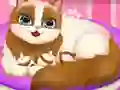 Игра Cute Kitty Pregnant онлайн