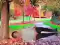Игра Rescue A Wounded Guy онлайн