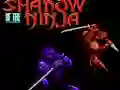 Игра Shadow of the Ninja онлайн