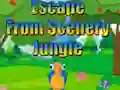 Игра Escape from Scenery Jungle онлайн