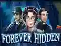 Игра Forever Hidden онлайн