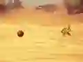 Игра Monkey Shooting онлайн