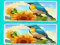 Игра Spot the Difference The Garden онлайн