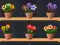 Игра Good Flower Master онлайн