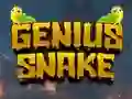 Игра Genius Snake онлайн