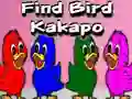 Игра Find Bird Kakapo онлайн