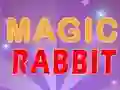 Игра Magic Rabbit онлайн