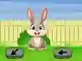 Игра Springtime Escape онлайн