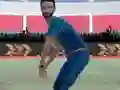 Игра Cricket Powerplay онлайн