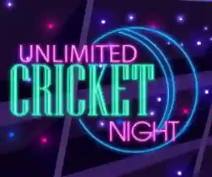 Игра Unlimited Cricket Night онлайн