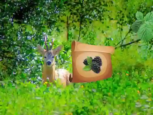 Игра Return To Alsunga Forest онлайн