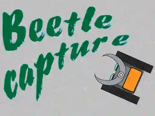 Игра Beetle Capture онлайн