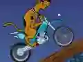 Игра Scooby Doo Trail онлайн
