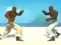 Игра Capoeira fighter онлайн