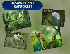 Игра Jigsaw Puzzle Rain Forest онлайн