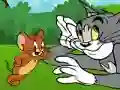 Игра Tom and Jerry ATV Adventure онлайн