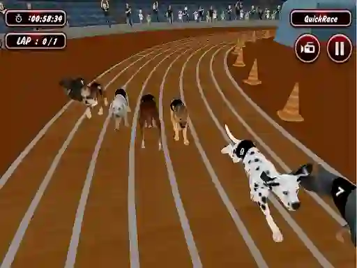 Игра Crazyl Dog Racing Fever онлайн
