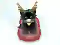 Игра Pet Sledding онлайн
