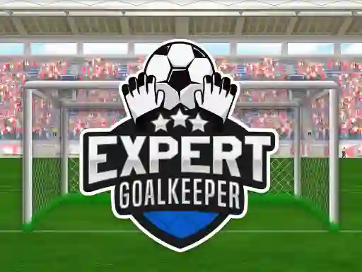 Игра Expert Goalkeeper онлайн