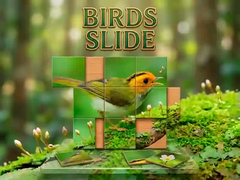 Игра Birds Slide онлайн