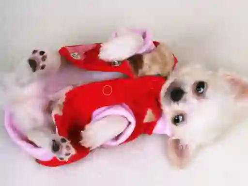 Игра Lovely Puppy Slide онлайн