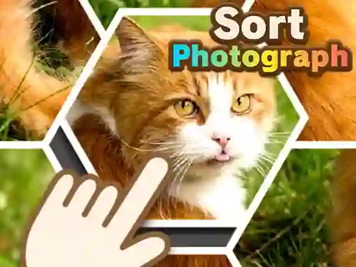 Игра Sort Photograph онлайн