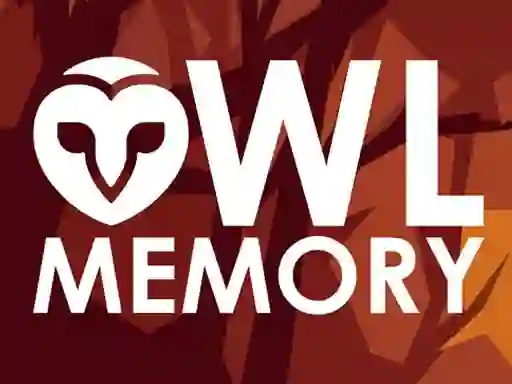 Игра Owl Memory онлайн