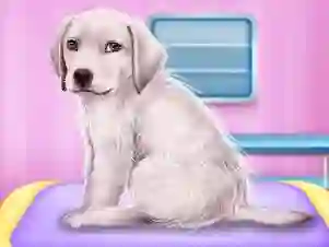 Игра Labrador at the doctor salon онлайн
