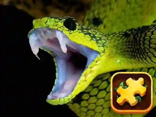 Игра Snake Puzzle Challenge онлайн
