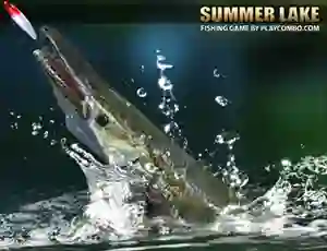 Игра Summer Lake онлайн