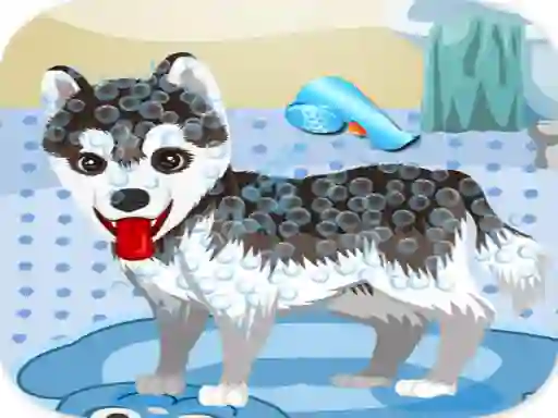Игра My Cute Dog Bathing онлайн