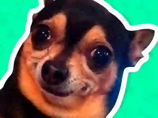 Игра What meme dog are you ? онлайн